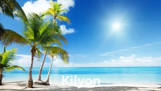 EXCURSION POR EL MAR CARIBE