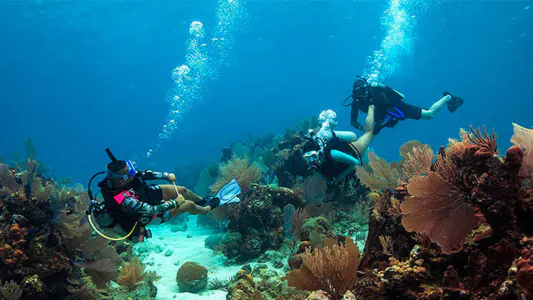 Paseo en Lancha + Buceo